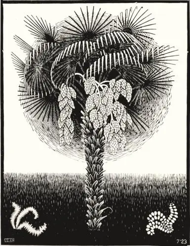 Maurits Cornelis Escher Palm Tree | Arthipo