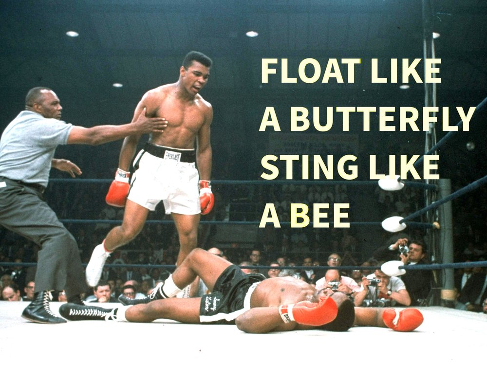 Float Like A Butterfly Sting Like A Bee Poster